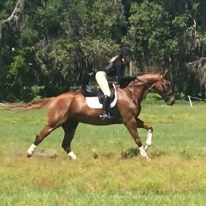 Meet your Posher, Erin